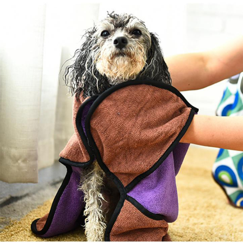 The Increasing Pet Towel Market5